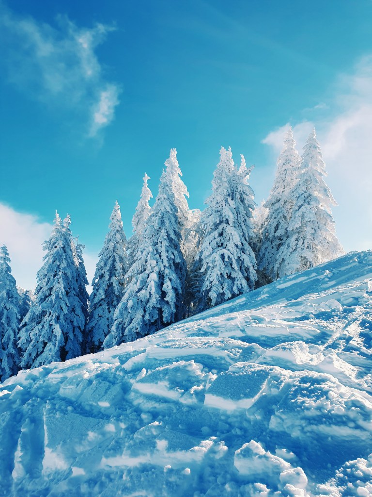 Davos bei Frischschnee